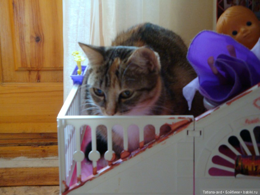 Моя Лиза в гости