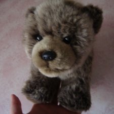 Медведь как настоящий