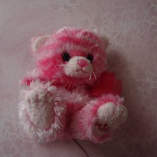 Миленькое чудо котенок