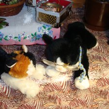 Стирка мягких игрушек. вопрос