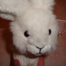 Белый кролик