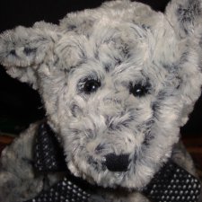 Гость из леса