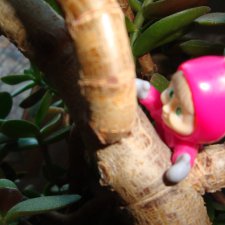 Урок для Маши