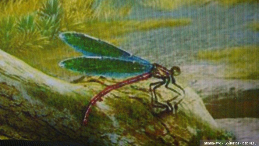 Осень для двоих | Бэйбики Осень для двоих — Болталка и разговоры обо всем: жизнь (фото 5)