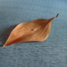 Осень для двоих