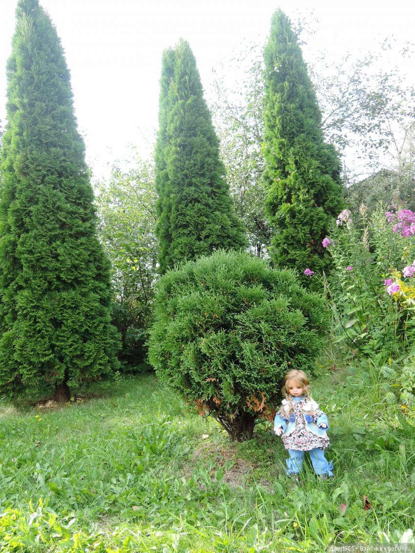 Что такое мечта — Куклы Annette Himstedt (Аннетт Химстедт): коллекционные