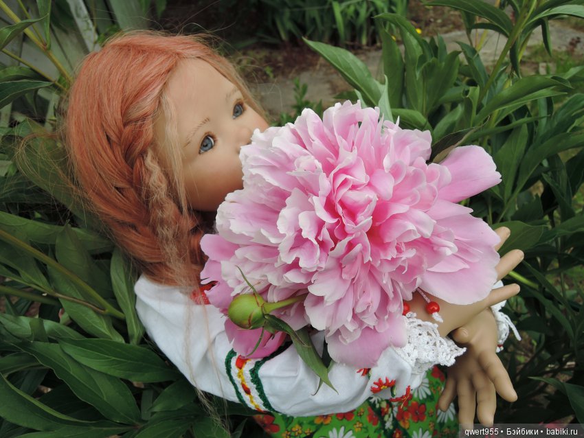 Незабываемое путешествие Типпи на дачу