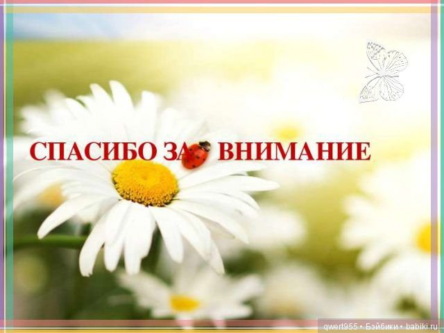 Незабываемое путешествие Типпи на дачу