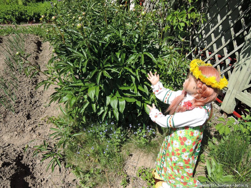 Незабываемое путешествие Типпи на дачу