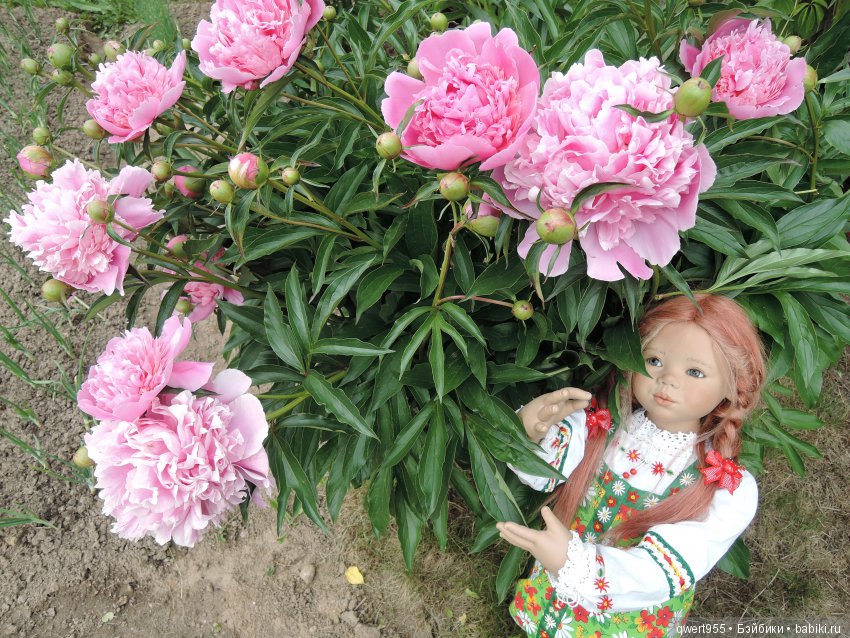 Незабываемое путешествие Типпи на дачу