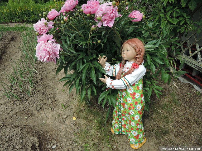 Незабываемое путешествие Типпи на дачу