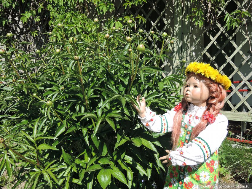 Незабываемое путешествие Типпи на дачу