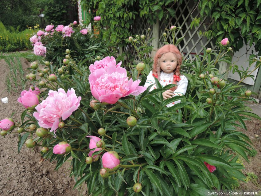 Незабываемое путешествие Типпи на дачу