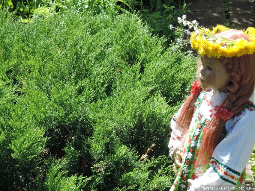 Незабываемое путешествие Типпи на дачу (фото 7)