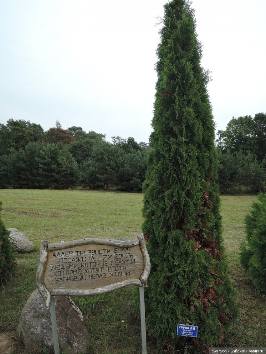 Везу с собой солнышко или незабываемое путешествие Вареньки в Беларусь