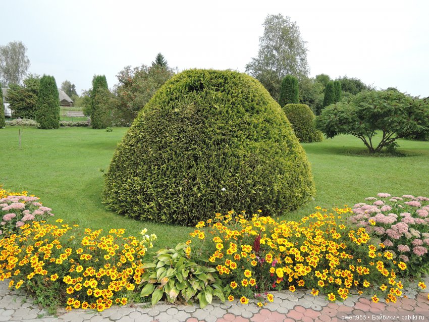 Везу с собой солнышко или незабываемое путешествие Вареньки в Беларусь