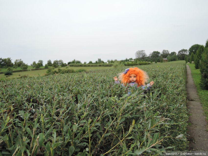 Везу с собой солнышко или незабываемое путешествие Вареньки в Беларусь