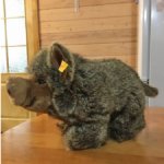 Игрушка Кабан Штайф, Германия