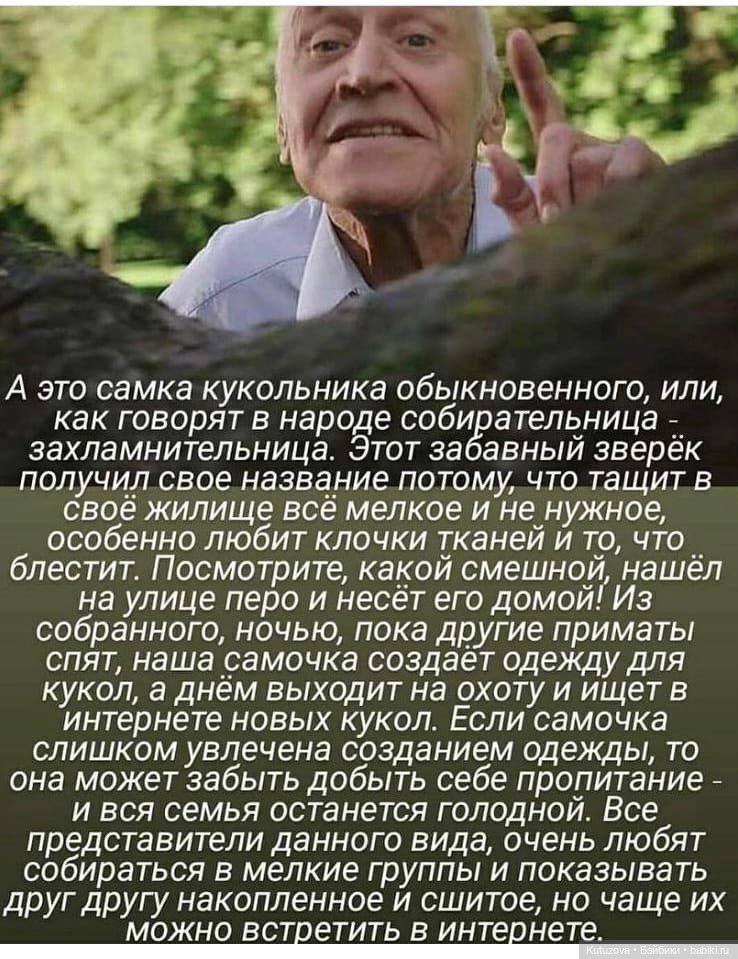 Кукловстреча в Саратове — Встречи коллекционеров кукол (кукловстречи): анонсы