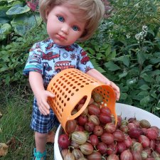 Наши выходные