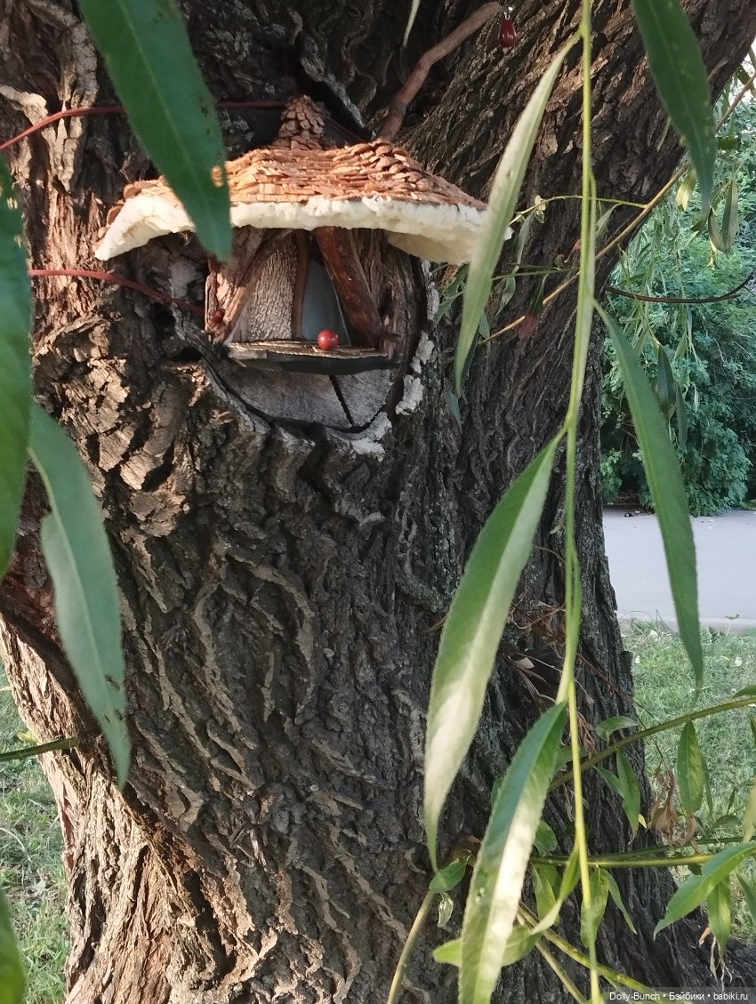 Вход в дерево — Румбоксы и кукольные интерьеры: фото