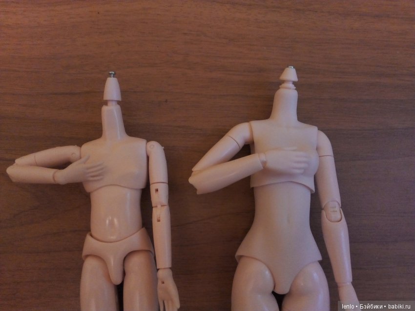 Обицу. Старое и новое тело. Небольшое сравнение (фото 7)