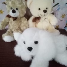 Мишки и собачка в новом состоянии