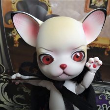 Новый житель нового формата