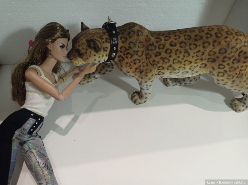 Домашние коллекции кукол: фото собраний (фото 6)