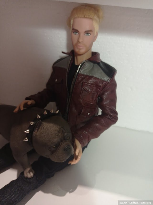 Домашние коллекции кукол: фото собраний