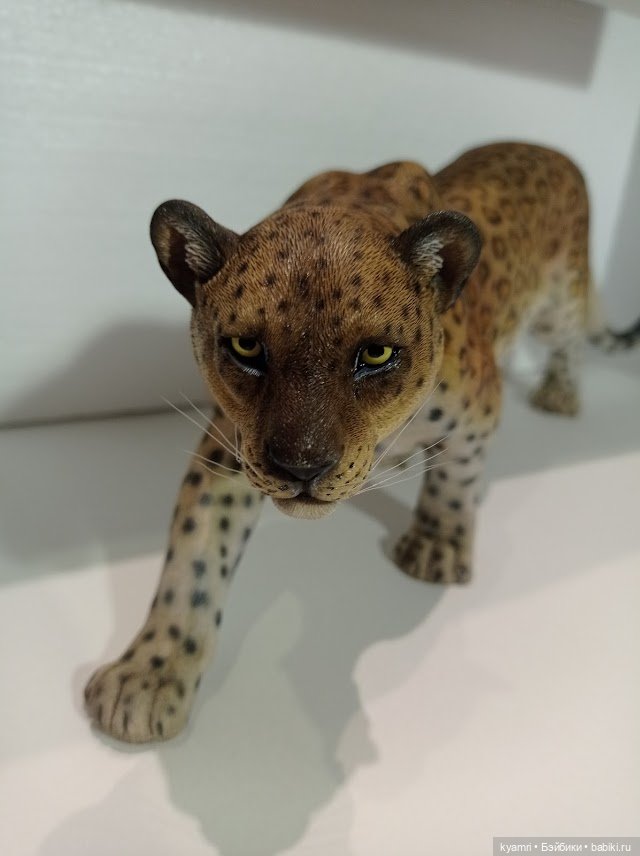 Его величество котейшество или кошачья любовь (фото 4)