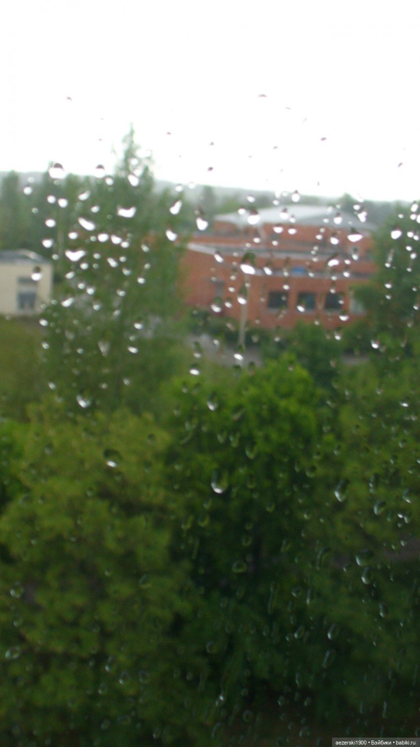 Лето, а ты придешь | Бэйбики Лето, а ты придешь — Болталка и разговоры обо всем: жизнь (фото 7)