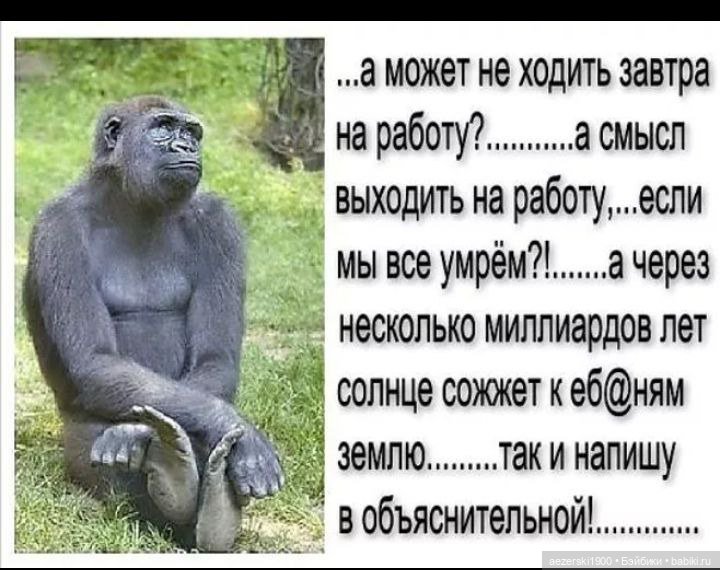 Кто его хочет запустить в себя фото Кто его хочет запустить в себя фото