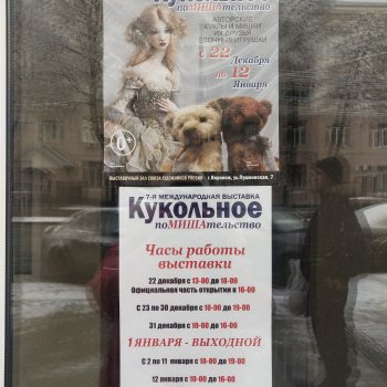 Мое кукольное поМИШАтельство