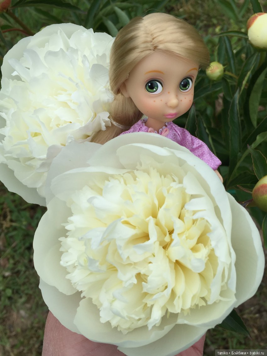 Цветы и куклы — Болталка и разговоры обо всем: жизнь