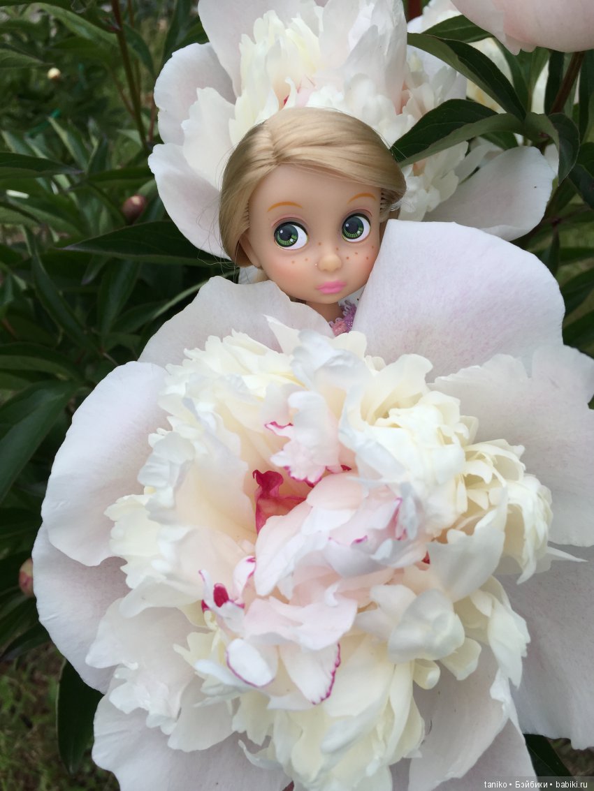 Цветы и куклы — Болталка и разговоры обо всем: жизнь (фото 8)