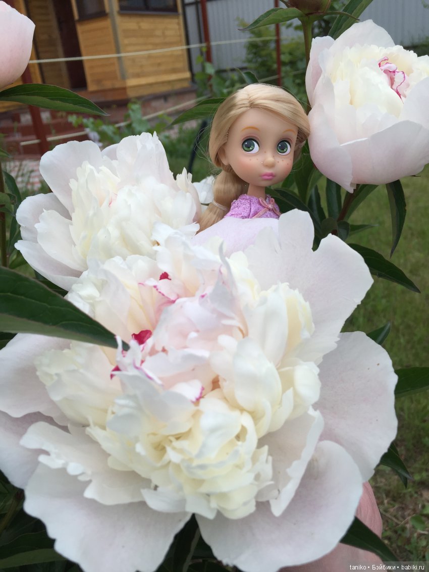 Цветы и куклы — Болталка и разговоры обо всем: жизнь (фото 9)