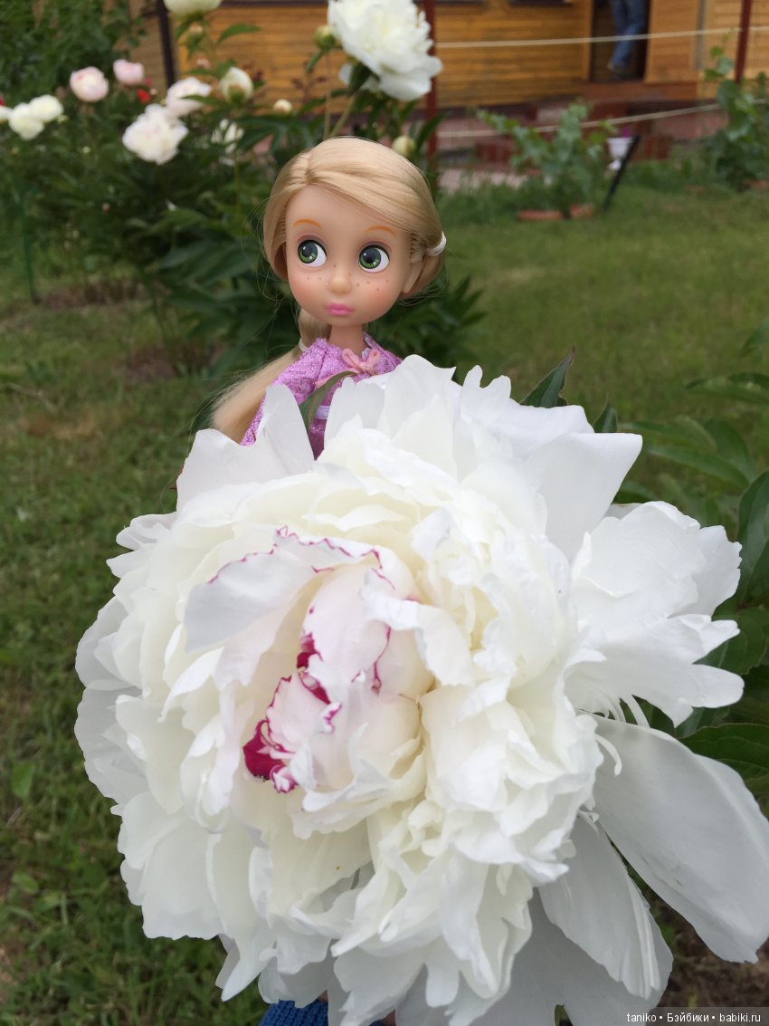 Цветы и куклы — Болталка и разговоры обо всем: жизнь