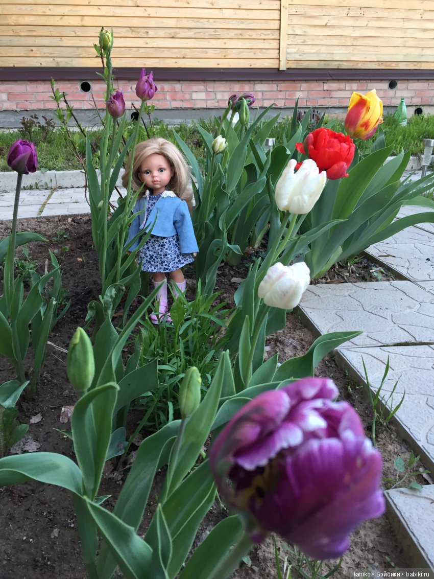 Цветы и куклы — Болталка и разговоры обо всем: жизнь