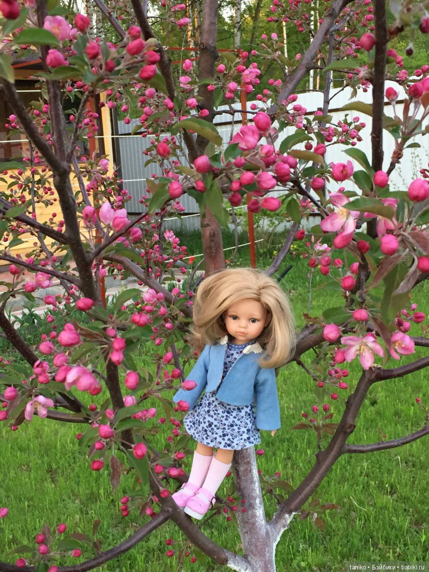 Цветы и куклы — Болталка и разговоры обо всем: жизнь