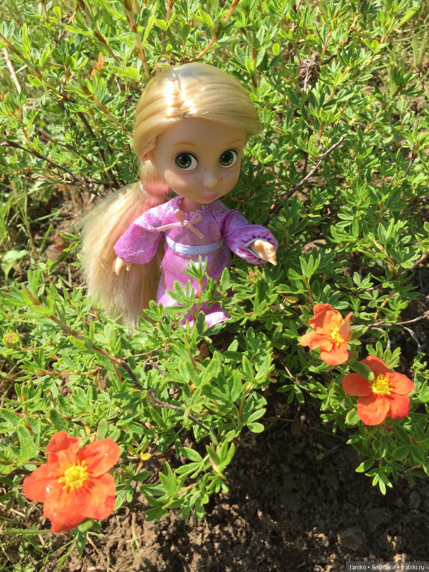 Цветы и куклы — Болталка и разговоры обо всем: жизнь (фото 5)