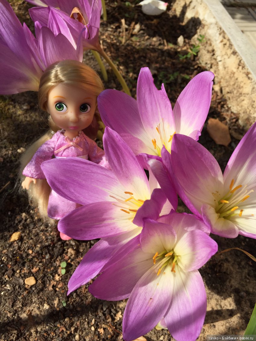 Цветы и куклы (продолжение) | Бэйбики Цветы и куклы (продолжение)