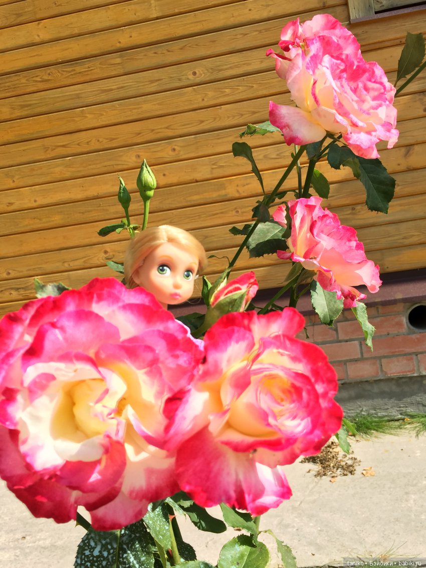 Цветы и куклы (продолжение) | Бэйбики Цветы и куклы (продолжение) (фото 10)