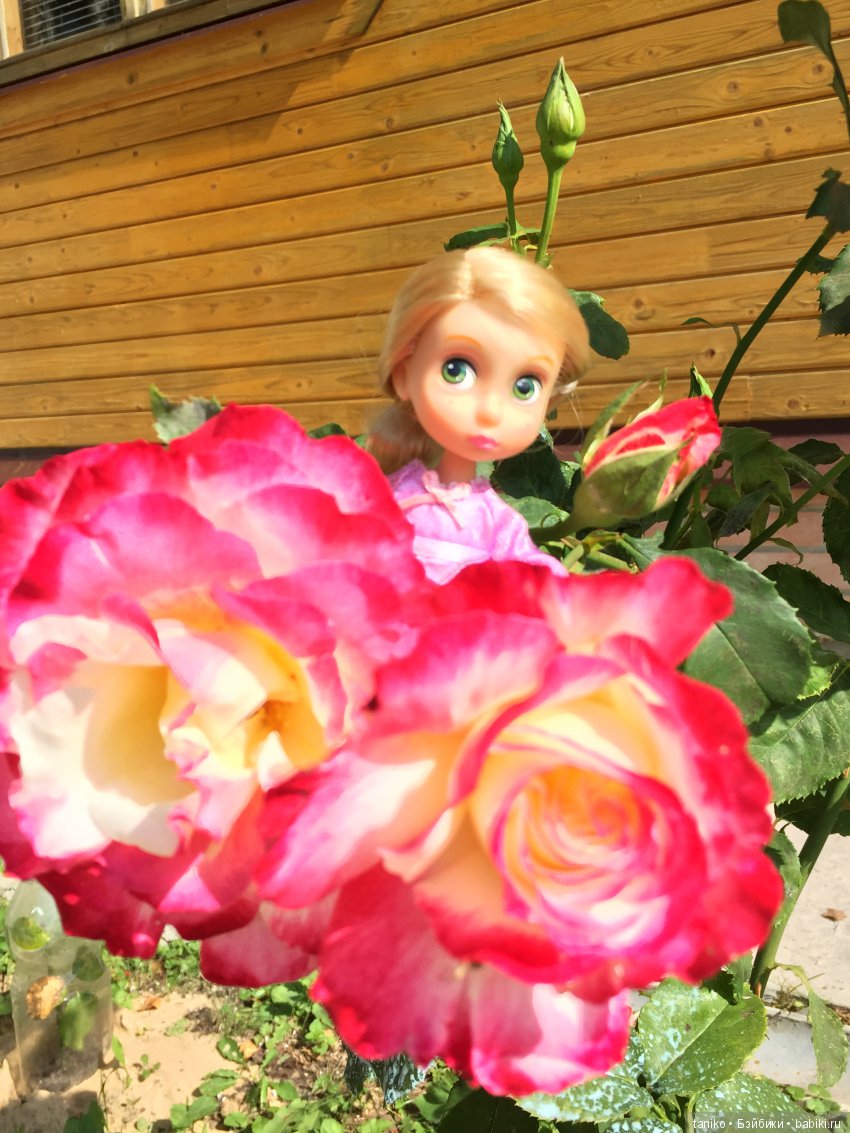 Цветы и куклы (продолжение) | Бэйбики Цветы и куклы (продолжение)