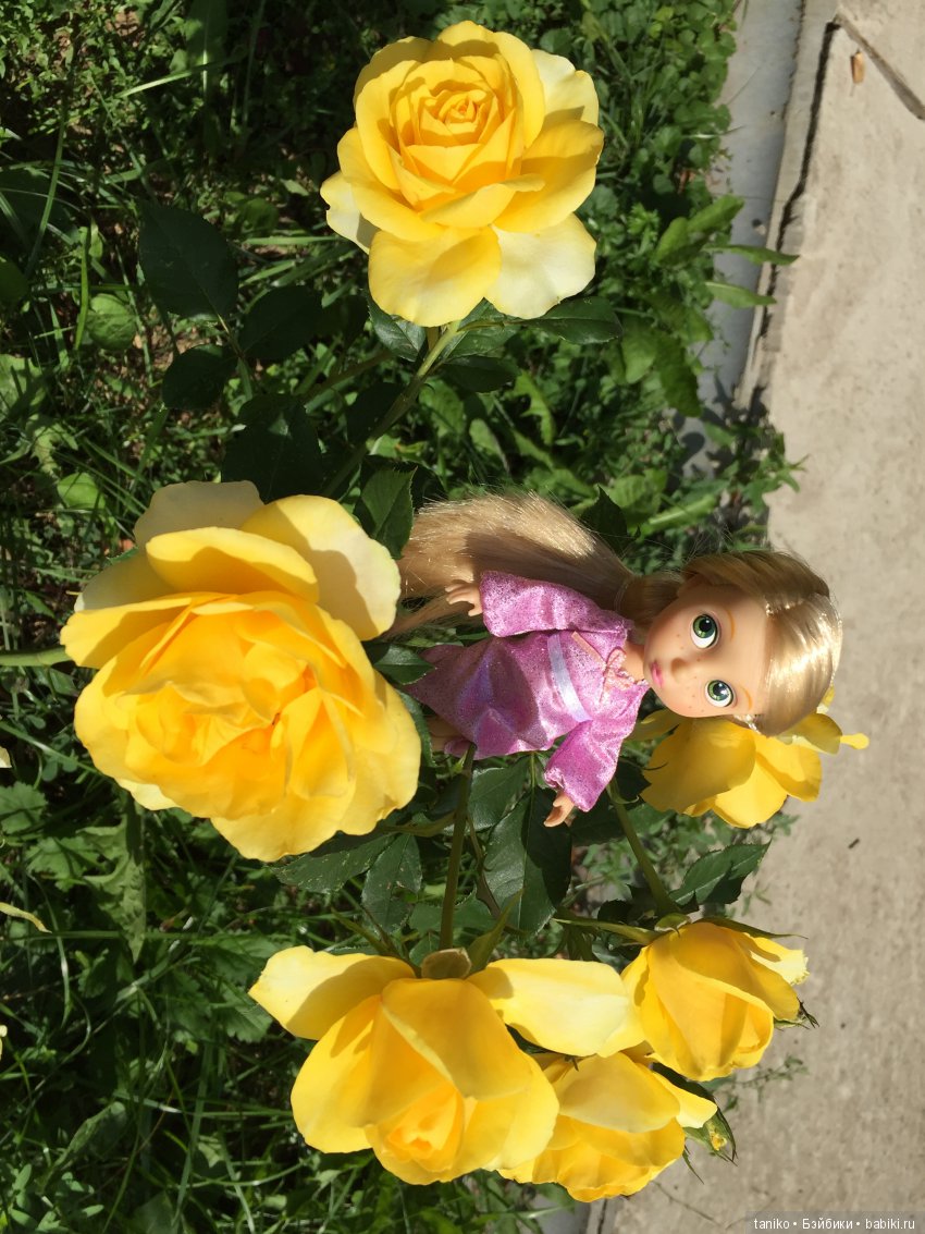 Цветы и куклы (продолжение) | Бэйбики Цветы и куклы (продолжение) (фото 8)
