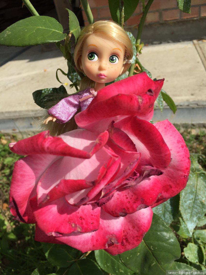 Цветы и куклы (продолжение) | Бэйбики Цветы и куклы (продолжение)