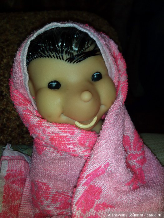 Ежик, который не спит зимой (фото 4)