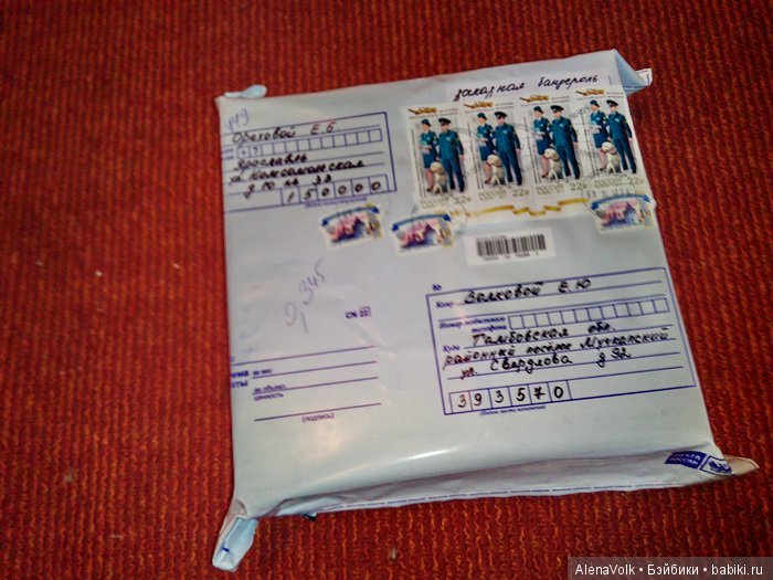 Ежик, который не спит зимой