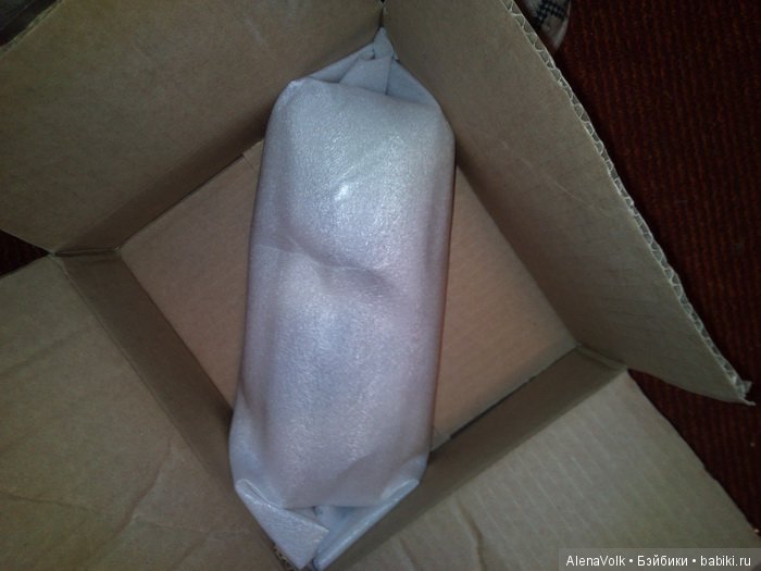 Ежик, который не спит зимой (фото 2)