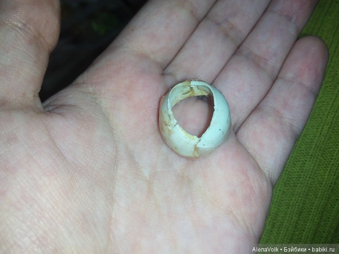 София: Из нищенки в принцессы